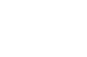 Predictive Systems Inc - Logo White